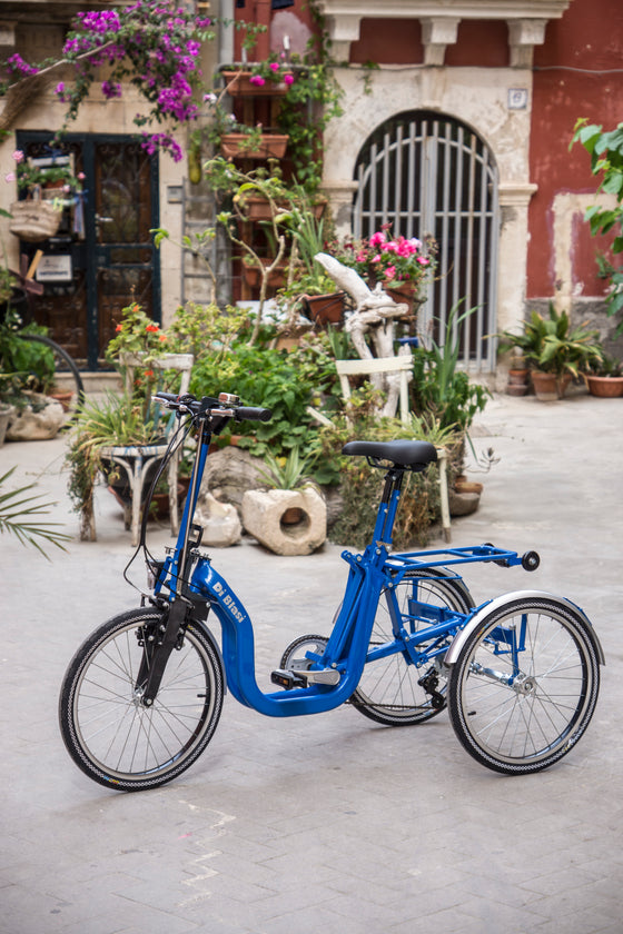 Blue Di Blasi Folding Tricycle in yard