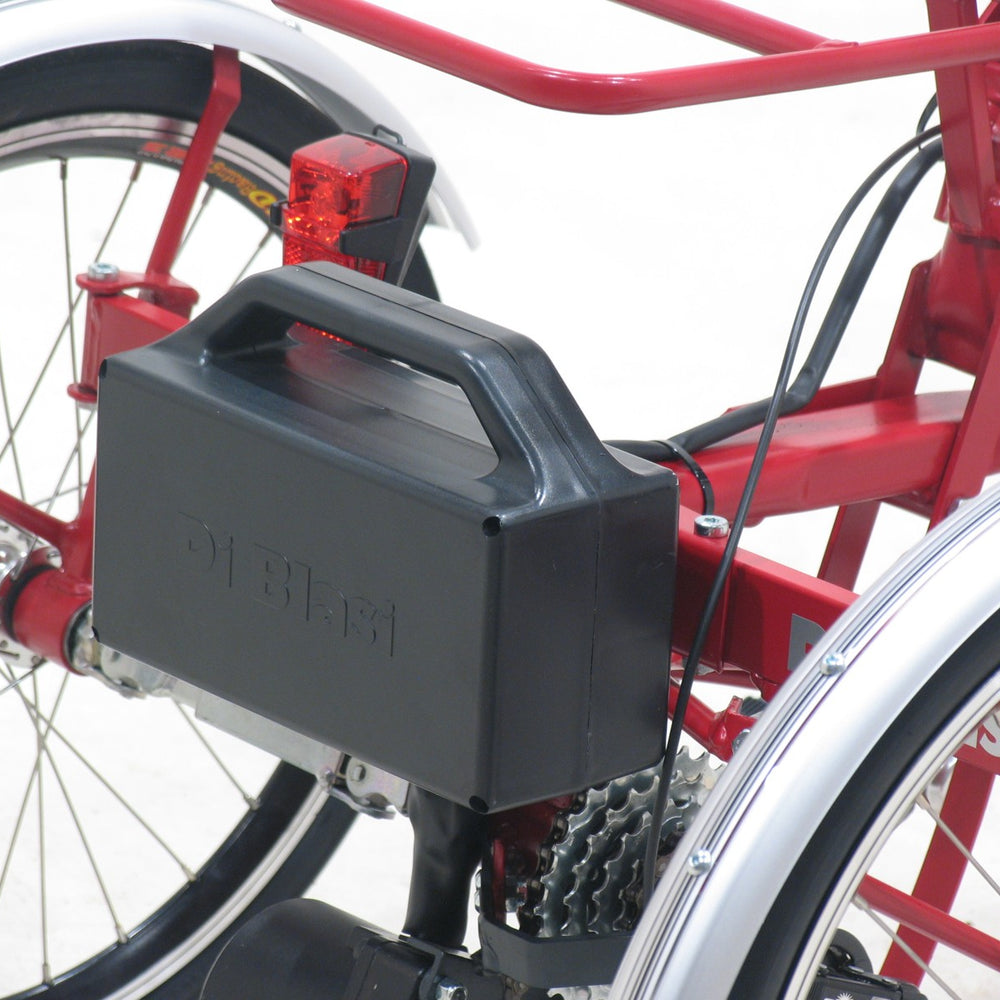 
                      
                        Close up of motor on Di Blasi Folding Tricycle
                      
                    