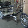 RENTAL WC Chariot Family electric tricycle