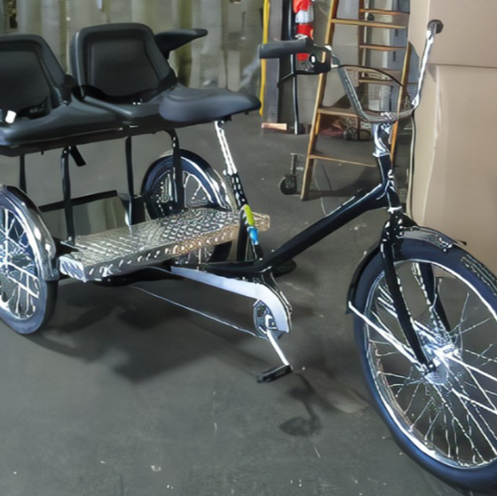 RENTAL WC Chariot Family electric tricycle EveryBody eBikes