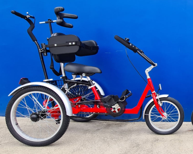 Muskateer Tricycle