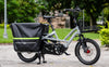 Grey Tern GSD R14 Electric Cargo ebike